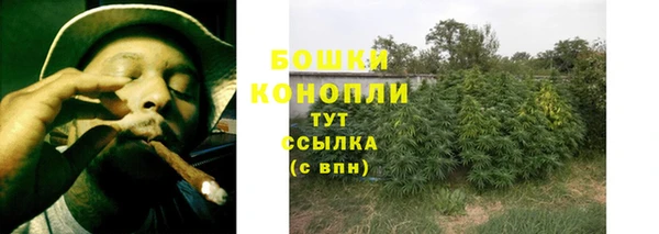 соль ск Липки