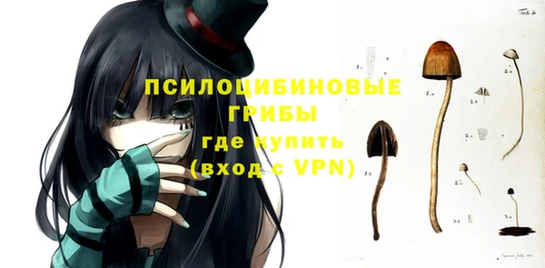 соль ск Липки