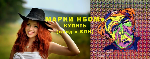 соль ск Липки