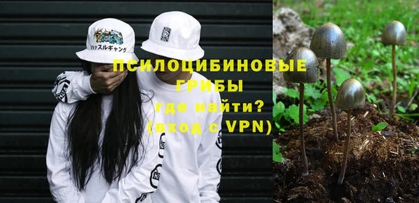 соль ск Липки