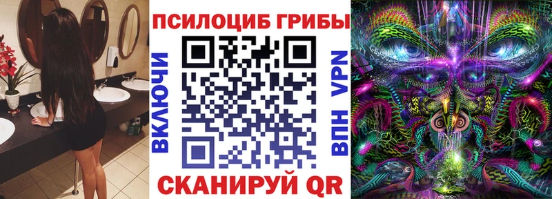 Псилоцибиновые грибы Psilocybine cubensis  Купить закладки  Асбест 
